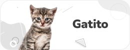 Comida para Gato Gatitos - Agrocampo