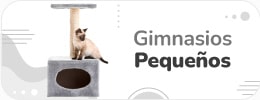 Gimnasios para gatos pequeños - Agrocampo