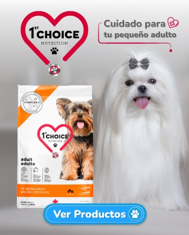 Agrocampo 1st Choice - Alimento Premium para tu perro