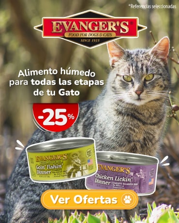 Agrocampo Evangers - Súper Oferta en Alimento Húmedo para tu gato