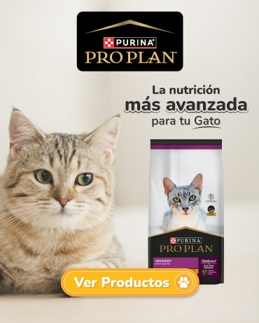 Agrocampo Pro Plan - Alimento Premium para tu gato