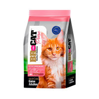 BR for CAT Pure para gatos adultos de 3 Kg sabor a Salmón