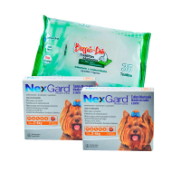 KIT promocional Antipulgas NexGard para Perros de 2 a 4 Kg + Toallitas Húmedas Basic Din por 35 Unds