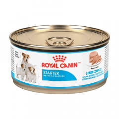 Royal Canin SHN Starter M&B Dog Wet 0.145 Kg