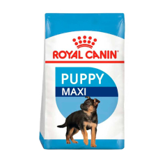 Royal Canin SHN Maxi Puppy 1 Kg