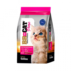 BR for CAT Pure para gatitos de 1 Kg sabor a Pollo