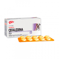 Cefalexina Blister 10 Tabletas 500 mg