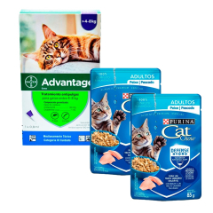 KIT Agronotas Antipulgas Advantage para gatos (De 4 a 8 Kg + Comida Húmeda Cat chow 85 gr