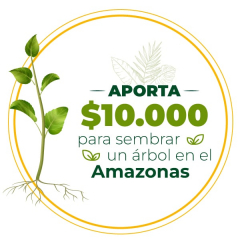 Aporta $10.000 para salvar el Amazonas