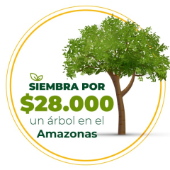 Aporta $28.000 para salvar el Amazonas