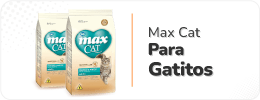 Max Alimento para Gatitos - Agrocampo