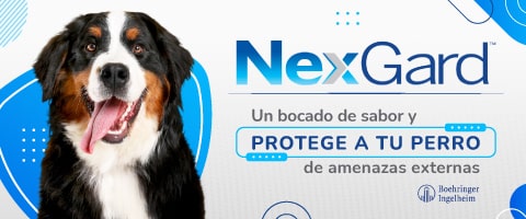 Nexgard - Antiparasitario interno y externo para perros - Agrocampo