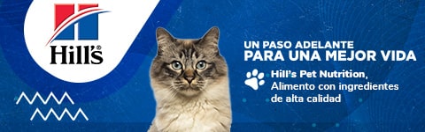 Hill's Comida Súper Premium para Gatos - Agrocampo