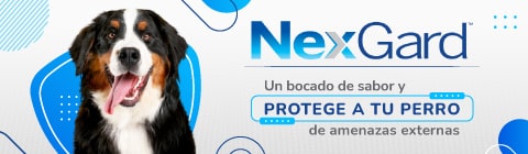 Nexgard - Agrocampo