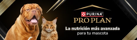 Proplan - Agrocampo