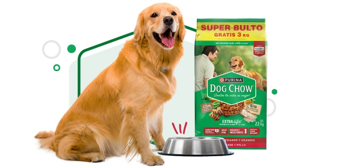 Dog Chow - Agrocampo