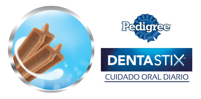 Pedigree Dentastix - Divertido y Saludable