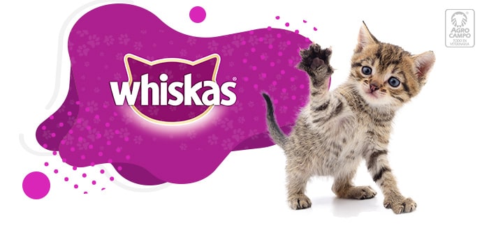 Whiskas alimento para Gatitos - Agrocampo